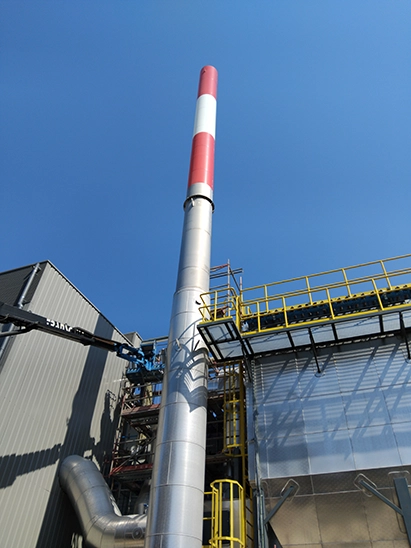 Central térmica biomassa 6