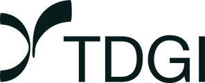 Logo TDGI